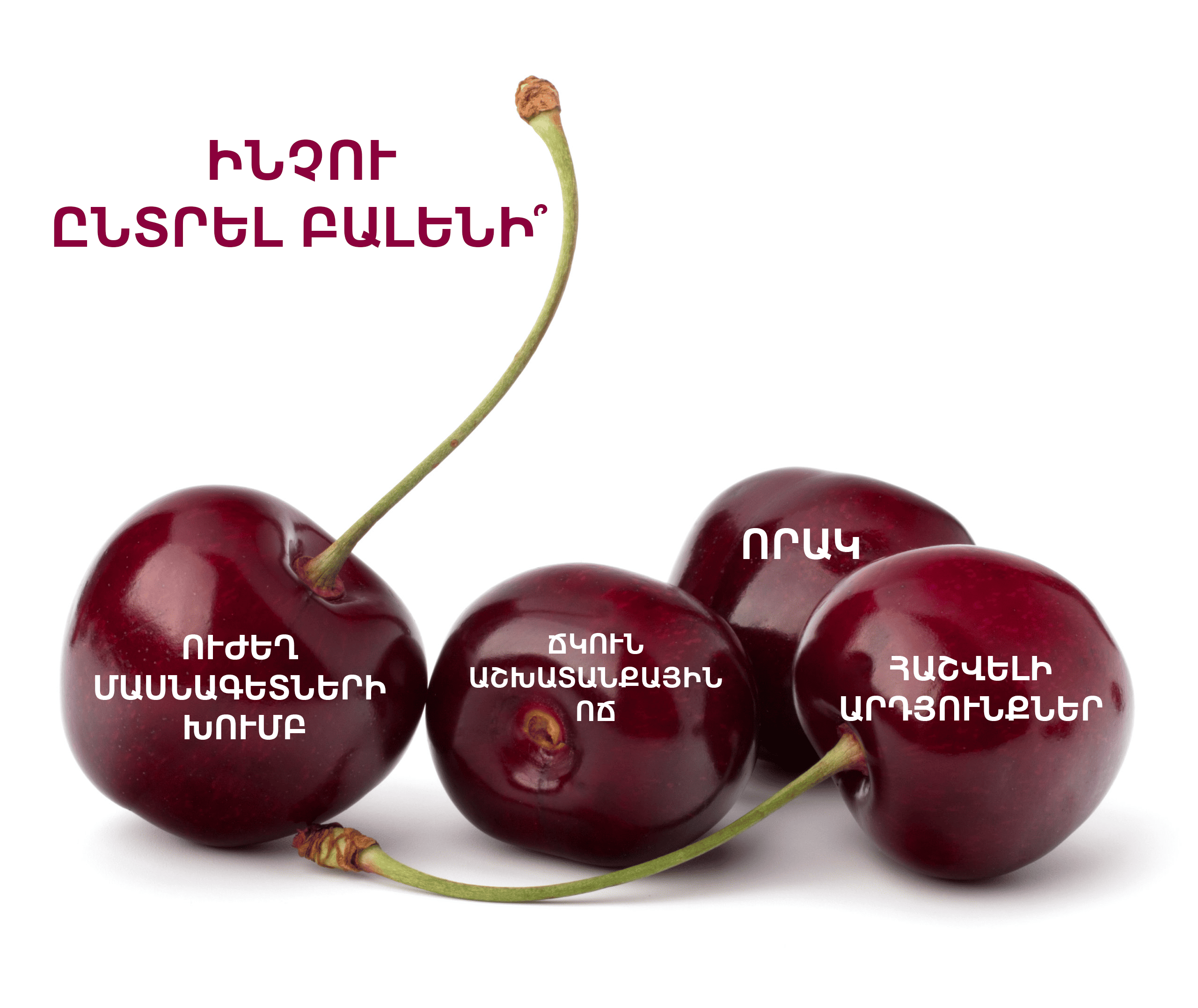 Մեր մասին