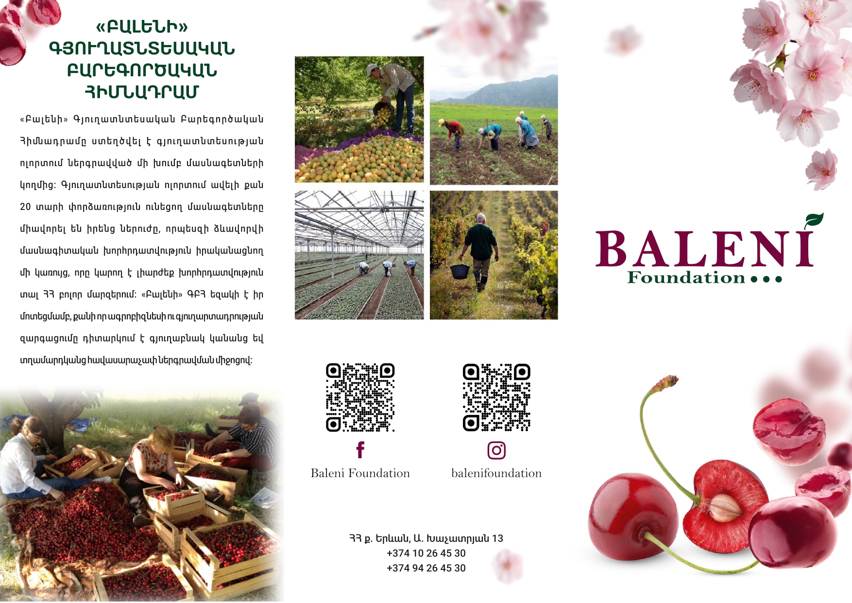 BALENI AGRICULTURAL CHARITY FOUNDATION BOOKLET